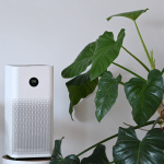 Do You Need An Air Purifier In Your Home