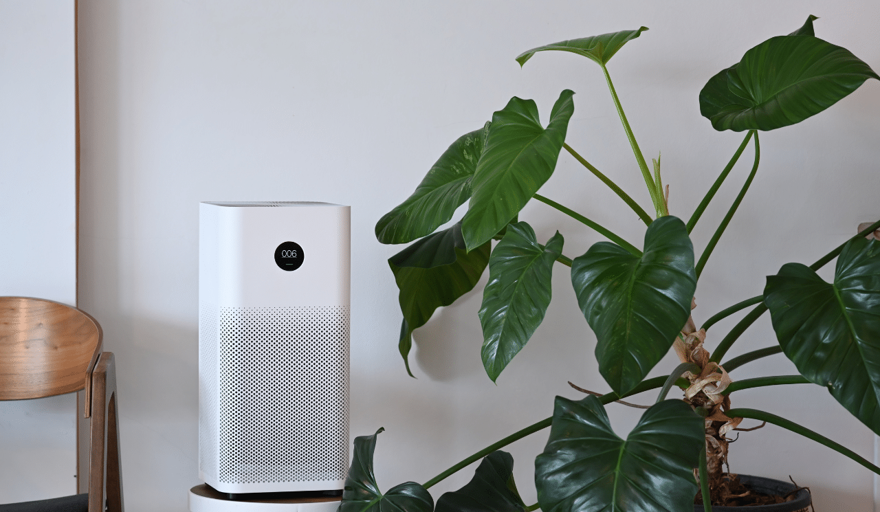 Do You Need An Air Purifier In Your Home?