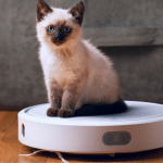 Is It Worth Buying A Robotic Vacuum