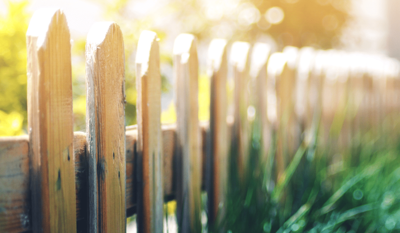 Top Tips For Choosing A Garden Fence