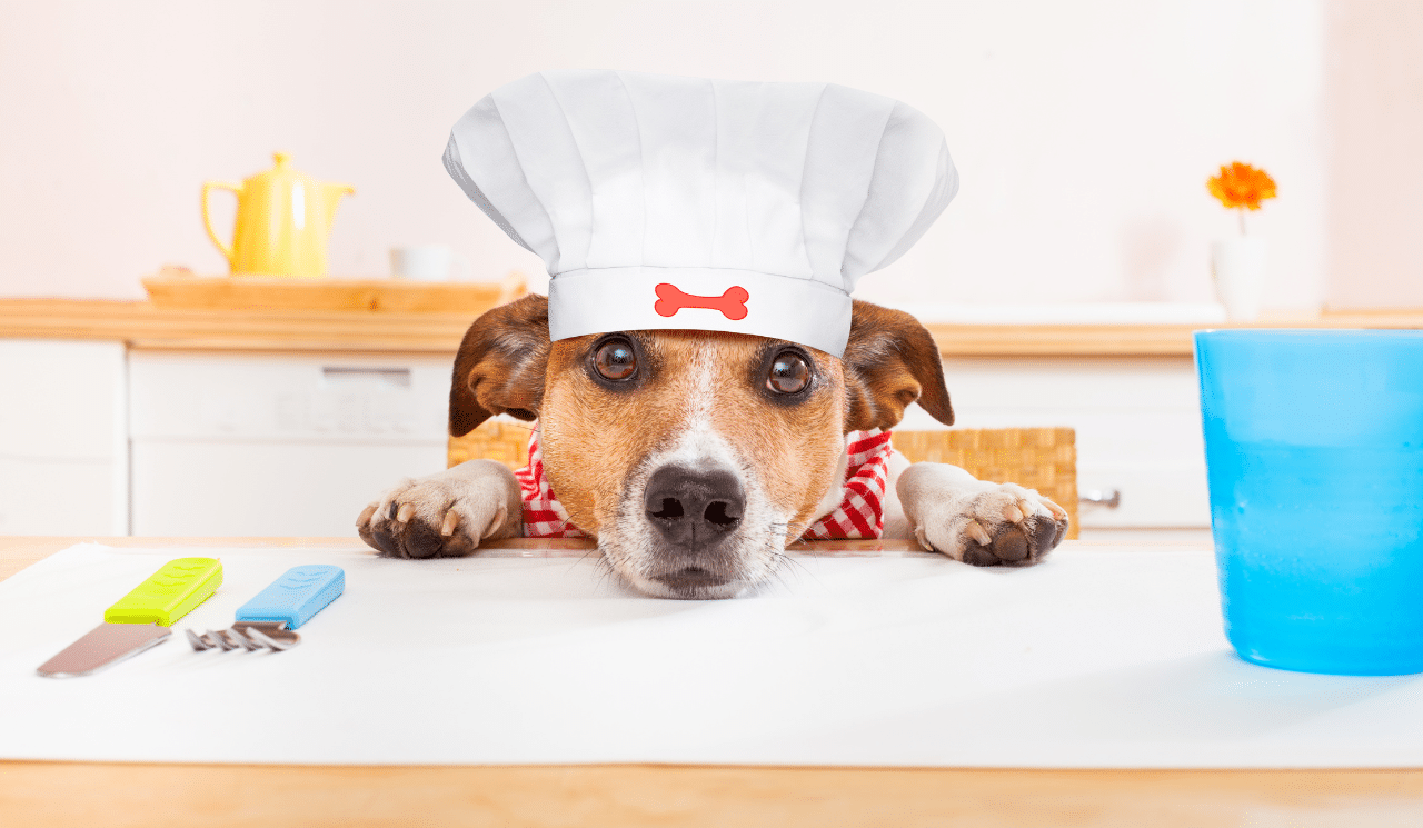 Three Super Easy Dog Treats You Can Make At Home