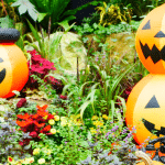 How To Decorate Your Garden For Halloween
