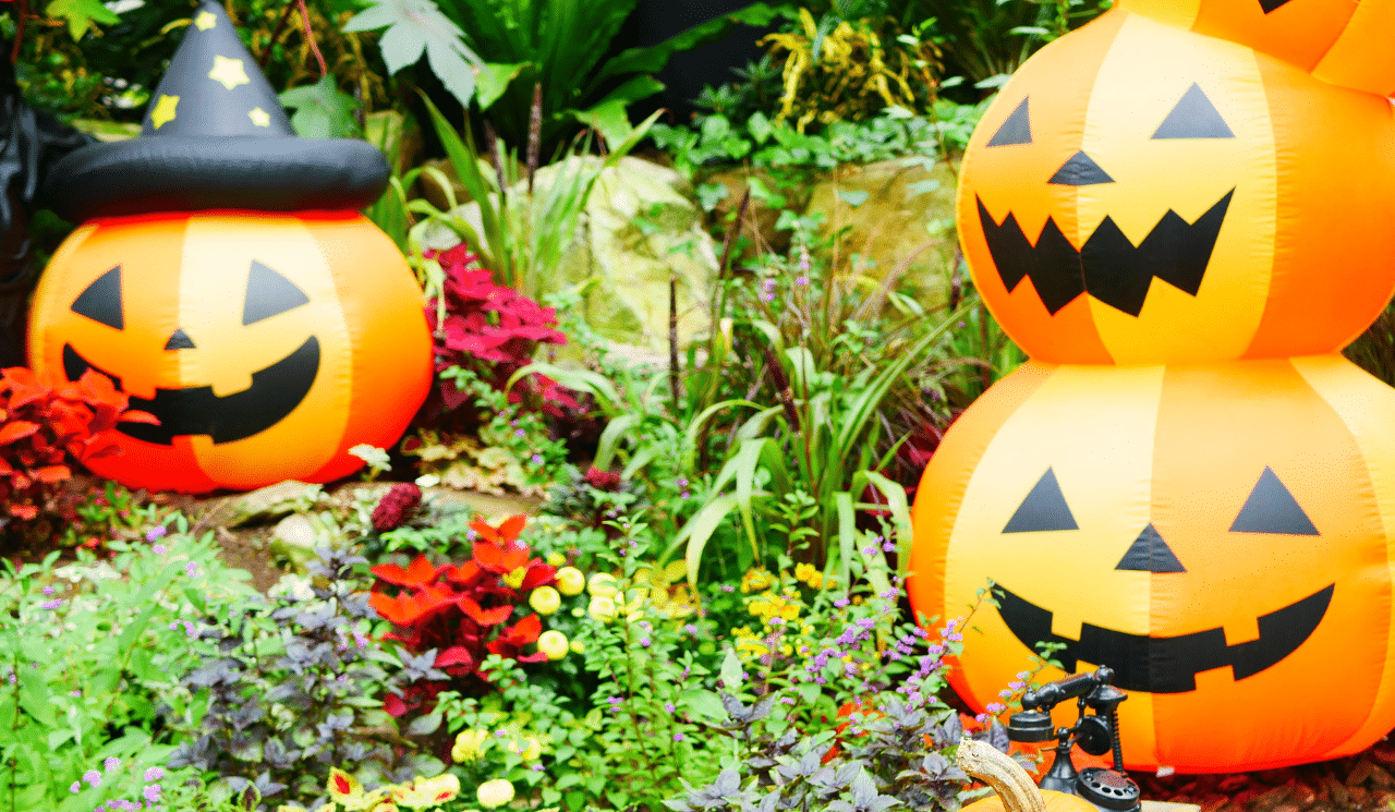 How To Decorate Your Garden For Halloween