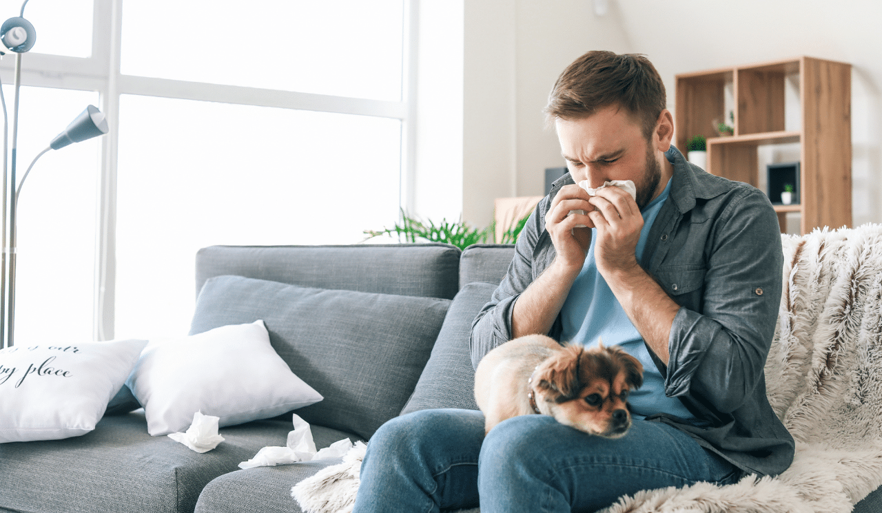 How To Minimise Allergy Triggers In The Home
