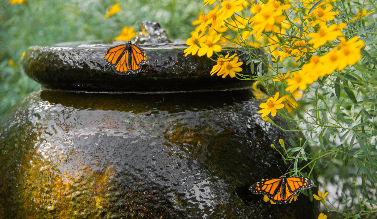 Is It Worth Adding A Water Feature To Your Garden?