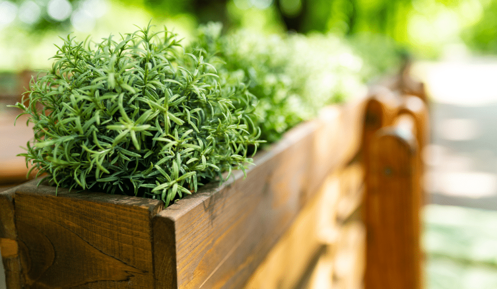 Using A Ladder Planter To Grow Your Own Herbs