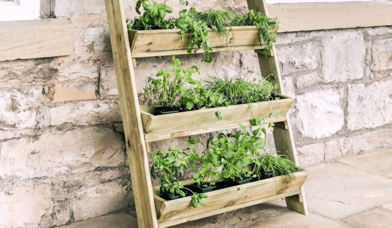 Using A Ladder Planter To Grow Your Own Herbs