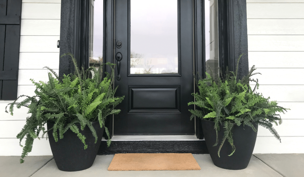 Using Potted Plants To Spruce Up The Front Of Your Home