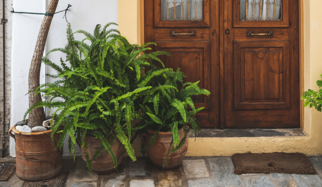 Using Potted Plants To Spruce Up The Front Of Your Home