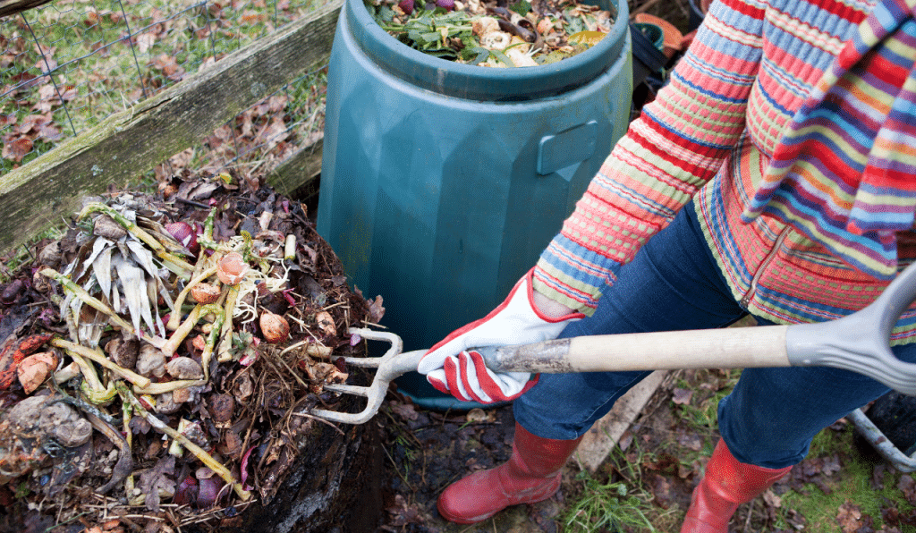 What Jobs Should You Do In The Garden During Winter?