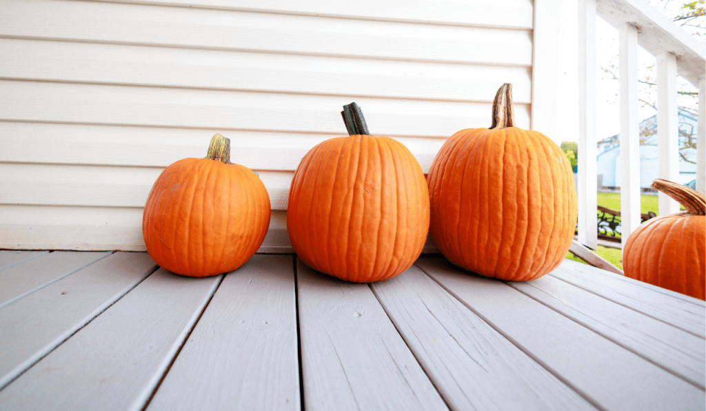 Pumpkins being laid on the ground to the entrance of a house.